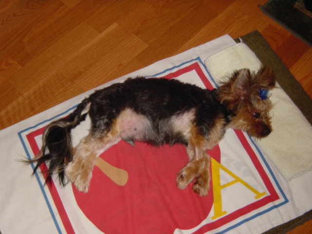 Dudley_Sept_06_002
