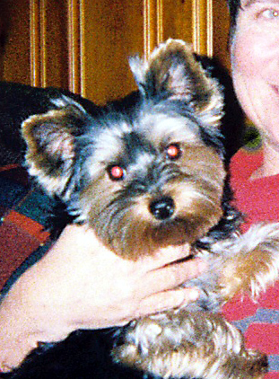 FH000003_edited
