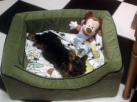 First_night_home