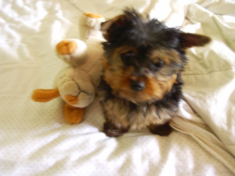 Fotos_General_205
