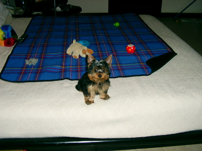 Fotos_General_227