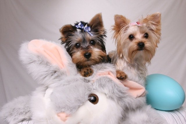 Gabby_and_Tyler