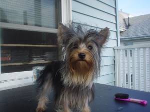 Gertie_Cute