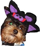Halloween_Harley