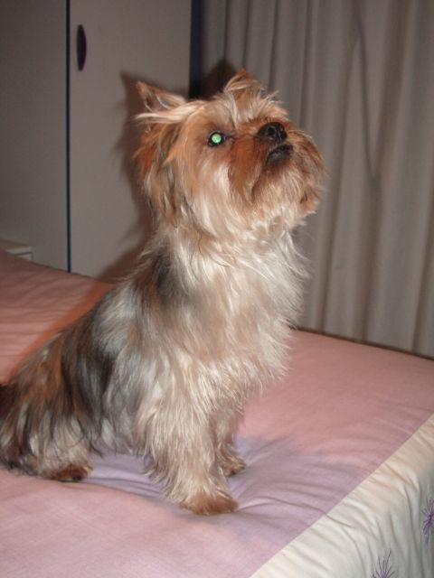 IMGP00021