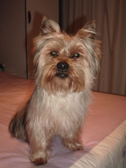 IMGP00061