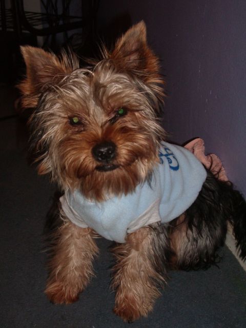 IMGP0091