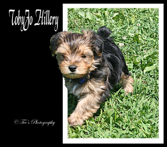 IMG_0013_copy_02_640x480_
