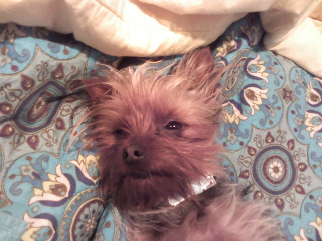 Jack