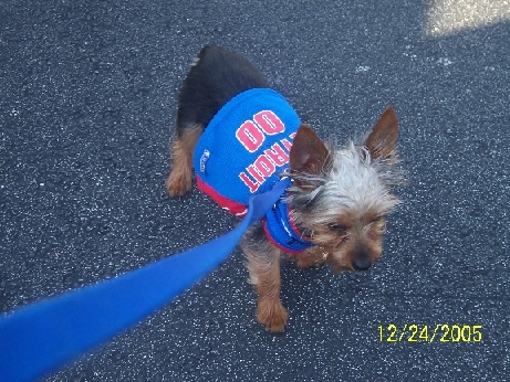 Jackson_Piston_Jersey