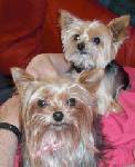Jewel_and_Tia_1