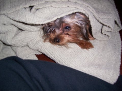 Juliet_10mo_005