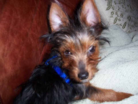 Juliet_10mo_008