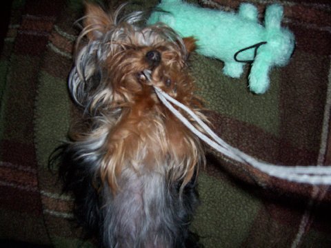 Juliet_10mo_041