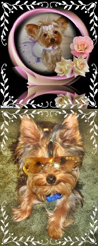 KJ1