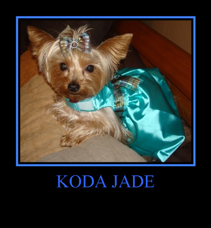 KODA7