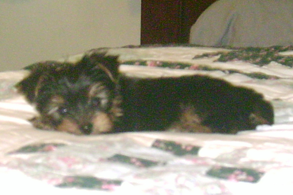 Kahlua_023