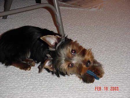Kaya_his_first_bone