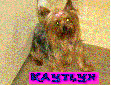 Kaytlyn