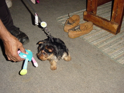 Kiki_is_Home_004