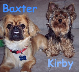 KirbyandBaxter1