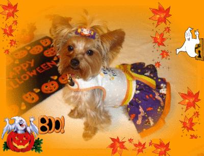 Koda_Halloween