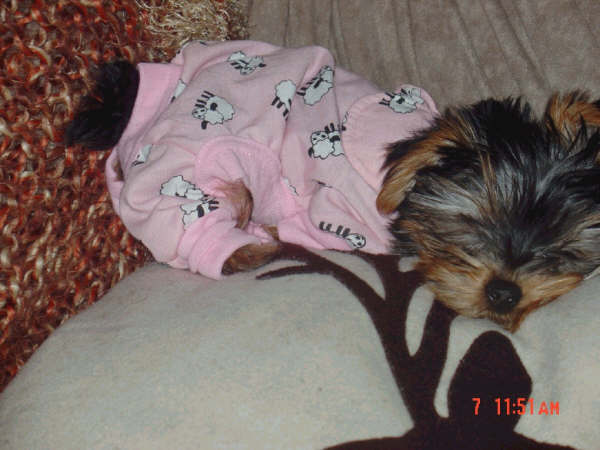 LAWpajamas