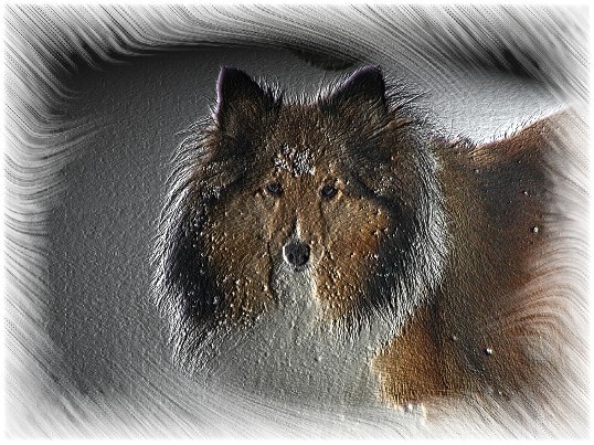 Lassie_in_snow