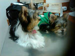 Leah_and_lexi_at_dr_visit