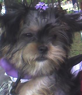 LeeLee