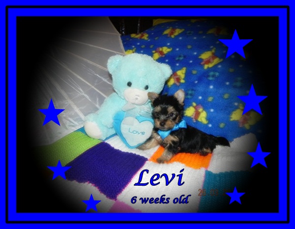 Levi_6_weeks_1
