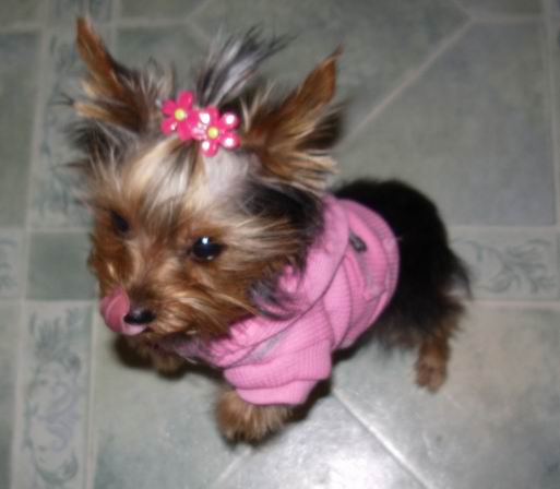 Lilahtongue