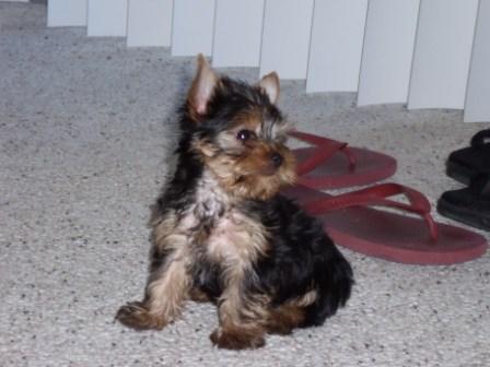 Look_Lilly