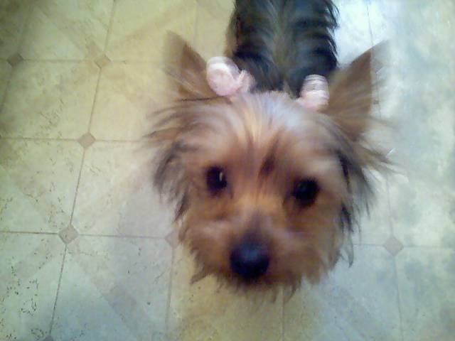 Lucy_07-07