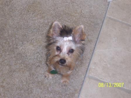 Lucy_August_34