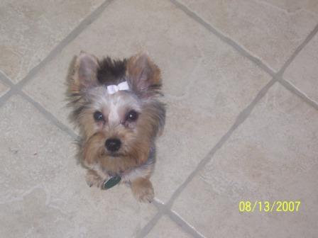 Lucy_August_381