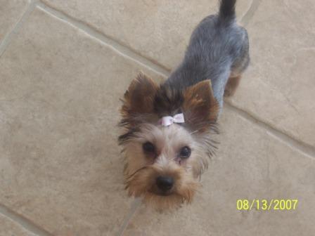Lucy_August_41
