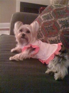 Lucy_in_Gatlinburg_WinCE_