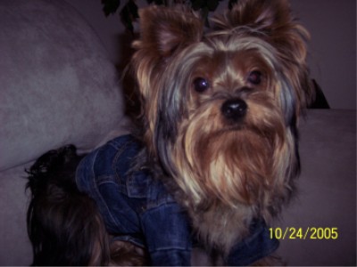 MaddieJacket