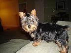 Max_04_19_05a