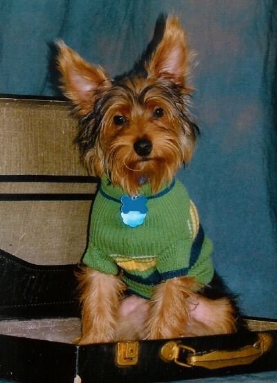 Maxwell_posing