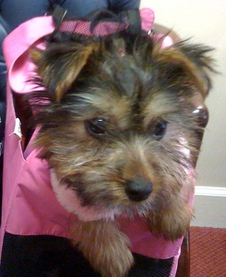 Mia_10_5_weeks