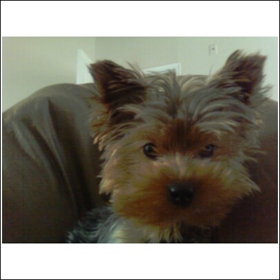 Milo