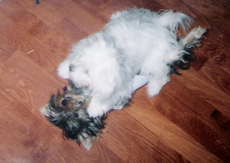 Missi_Sonny