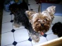 Momma_Bitsy