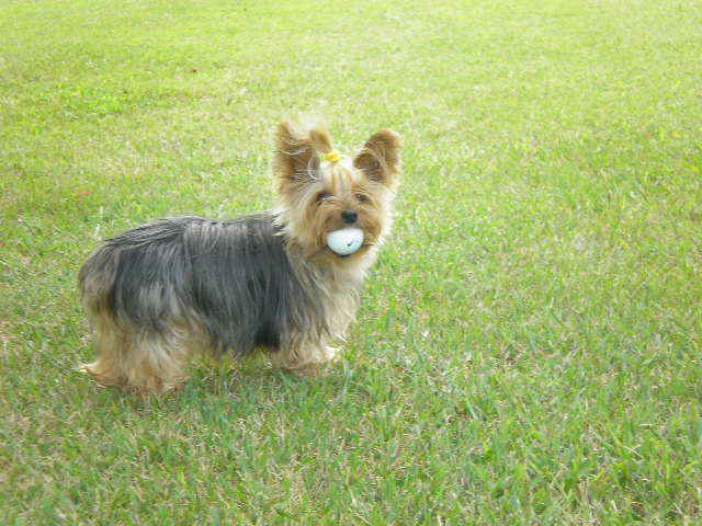 My_Baby_Zoe_