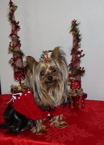 Natalie_Xmas_06-1a