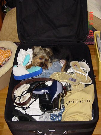 On_Vacation