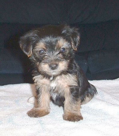 Our_Baby