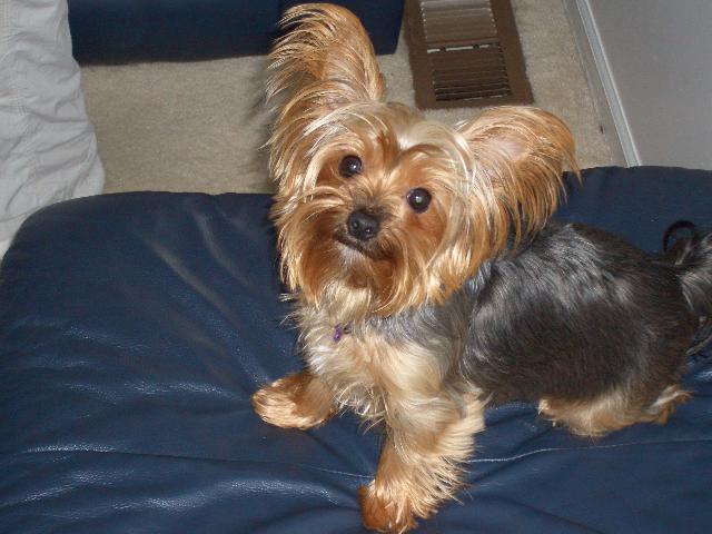 PEPPER